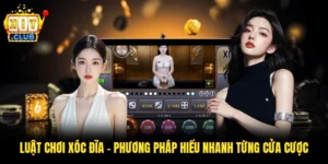 Luật Chơi Xóc Đĩa